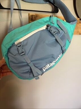 Patagonia Teal and Light Blue Waist Pack